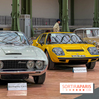 Bonhams I Cars au Grand Palais : exposition de voitures d'exception - IMG 1139 jpg