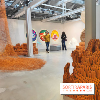 Chaosmos : une expo gratuite qui interroge notre place dans l'univers au Maif Social Club - photos