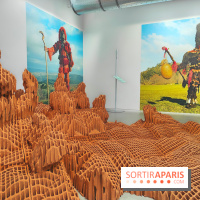 Chaosmos : une expo gratuite qui interroge notre place dans l'univers au Maif Social Club - photos - fotor 1738750043420