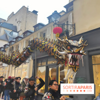 Défilé du Nouvel An Lunaire-Chinois Faubourg Saint-Honoré  - fotor 1738762018278