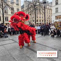 Défilé du Nouvel An Lunaire-Chinois Faubourg Saint-Honoré  - IMG20250205130728