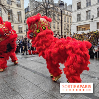 Défilé du Nouvel An Lunaire-Chinois Faubourg Saint-Honoré  - IMG20250205130635