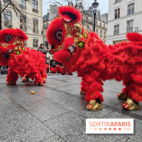 Défilé du Nouvel An Lunaire-Chinois Faubourg Saint-Honoré  - IMG20250205130537