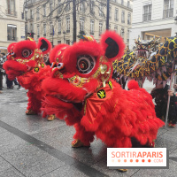 Défilé du Nouvel An Lunaire-Chinois Faubourg Saint-Honoré  - IMG20250205130401