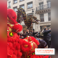 Défilé du Nouvel An Lunaire-Chinois Faubourg Saint-Honoré  - IMG20250205125902