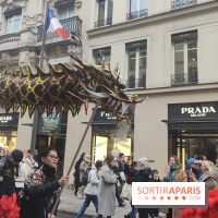 Défilé du Nouvel An Lunaire-Chinois Faubourg Saint-Honoré  - IMG20250205125557