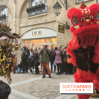 Défilé du Nouvel An Lunaire-Chinois Faubourg Saint-Honoré  - IMG20250205124849