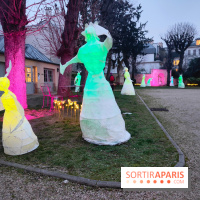 Exposition Silva Lumina au Centre Culturel Irlandais