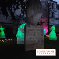 Exposition Silva Lumina au Centre Culturel Irlandais