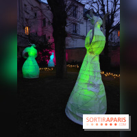 Exposition Silva Lumina au Centre Culturel Irlandais