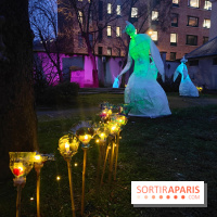 Exposition Silva Lumina au Centre Culturel Irlandais