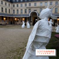 Exposition Silva Lumina au Centre Culturel Irlandais  - Silva Lumina 2 fotor 2025020691851