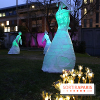 Exposition Silva Lumina au Centre Culturel Irlandais  - Silva Lumina 4