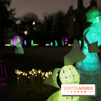 Exposition Silva Lumina au Centre Culturel Irlandais  - Silva Lumina 8