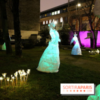 Exposition Silva Lumina au Centre Culturel Irlandais  - Silva Lumina 10