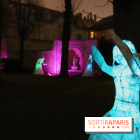 Exposition Silva Lumina au Centre Culturel Irlandais  - Silva Lumina 13