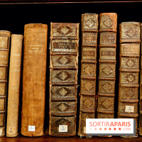 Centre Culturel Irlandais et sa bibliothèque