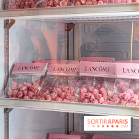 Idôle House by Lancôme, pop up expérientiel - IMG 1470 jpg