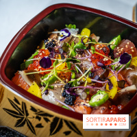 Hokusai - restaurant japonais fusion - Paris 16e - les photos  - chirashi