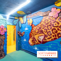 Colors Festival 2025 à Champigny spécial Amérique Latine -  A7C1198