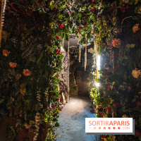 Colors Festival 2025 à Champigny spécial Amérique Latine -  A7C1279