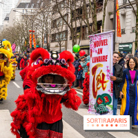 Défilé du Nouvel an Lunaire - Chinois 2025 Paris 13e - les photos