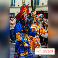 Défilé du Nouvel an Lunaire - Chinois 2025 Paris 13e - les photos