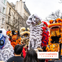 Défilé du Nouvel an Lunaire - Chinois 2025 Paris 13e - les photos