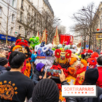 Défilé du Nouvel an Lunaire - Chinois 2025 Paris 13e - les photos