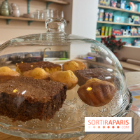 Pépites de familles - nos photos - 693D6CB7 DD7A 4BD6 9EAB 5E8B9F5A7331