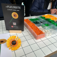 Saint-Valentin 2025 : des ateliers gratuits chez le Fleuriste LEGO à la Gare de l'Est - WhatsApp 02 13 at 11.39.16