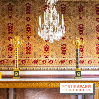 Le Château de Versailles : ouverture de plusieurs salles sur la IIIe République - DSC 2265