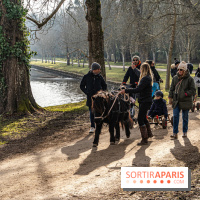 Le Château de Dampierre se transforme en station d'hiver pour les vacances de février -  A7C2271