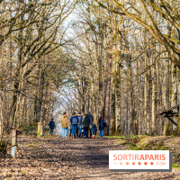 Balade sentier : Conte de Mélida, l'esprit de la forêt en forêt de Méridon (78) - A7C02309