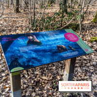 Balade sentier : Conte de Mélida, l'esprit de la forêt en forêt de Méridon (78)