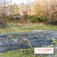 Balade sentier : Conte de Mélida, l'esprit de la forêt en forêt de Méridon (78) - A7C02325
