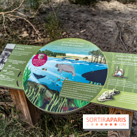 Balade sentier : Conte de Mélida, l'esprit de la forêt en forêt de Méridon (78) - A7C02327