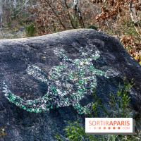 Balade sentier : Conte de Mélida, l'esprit de la forêt en forêt de Méridon (78) - A7C02328