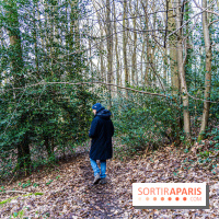 Balade sentier : Conte de Mélida, l'esprit de la forêt en forêt de Méridon (78) - A7C02329