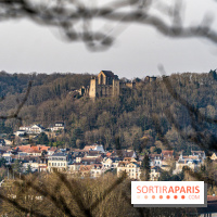 Balade sentier : Conte de Mélida, l'esprit de la forêt en forêt de Méridon (78) - A7C02331
