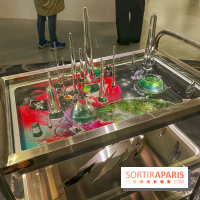 Paysages mouvants - IMG 8712