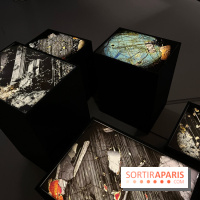 Paysages mouvants - IMG 8739