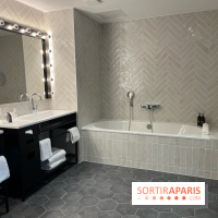 H4 Hotel Wyndham Paris Pleyel  - IMG 8672