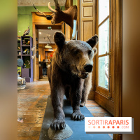 Deyrolle, l'incroyable cabinet de curiosités à Paris - nos photos