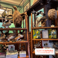 Deyrolle, l'incroyable cabinet de curiosités à Paris - nos photos