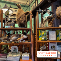 Deyrolle, l'incroyable cabinet de curiosités à Paris - nos photos