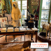 Deyrolle, l'incroyable cabinet de curiosités à Paris - nos photos
