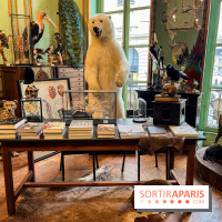 Deyrolle, l'incroyable cabinet de curiosités à Paris - nos photos