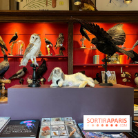 Deyrolle, l'incroyable cabinet de curiosités à Paris - nos photos - image00004