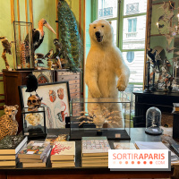 Deyrolle, l'incroyable cabinet de curiosités à Paris - nos photos